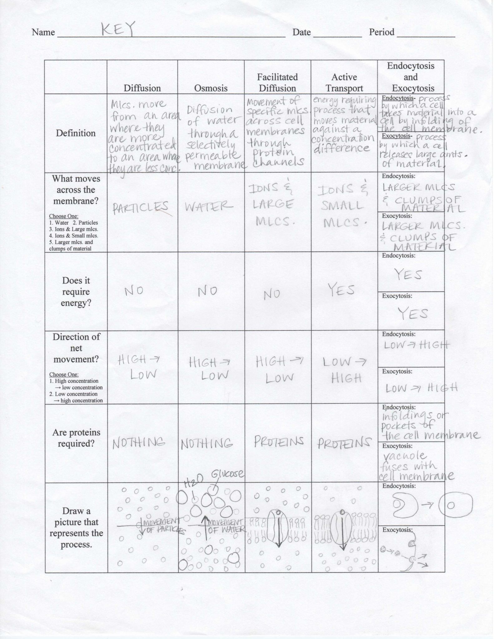 Types Of Bonds Worksheet Answer Key or Collection Of Cell Energy Worksheet Key