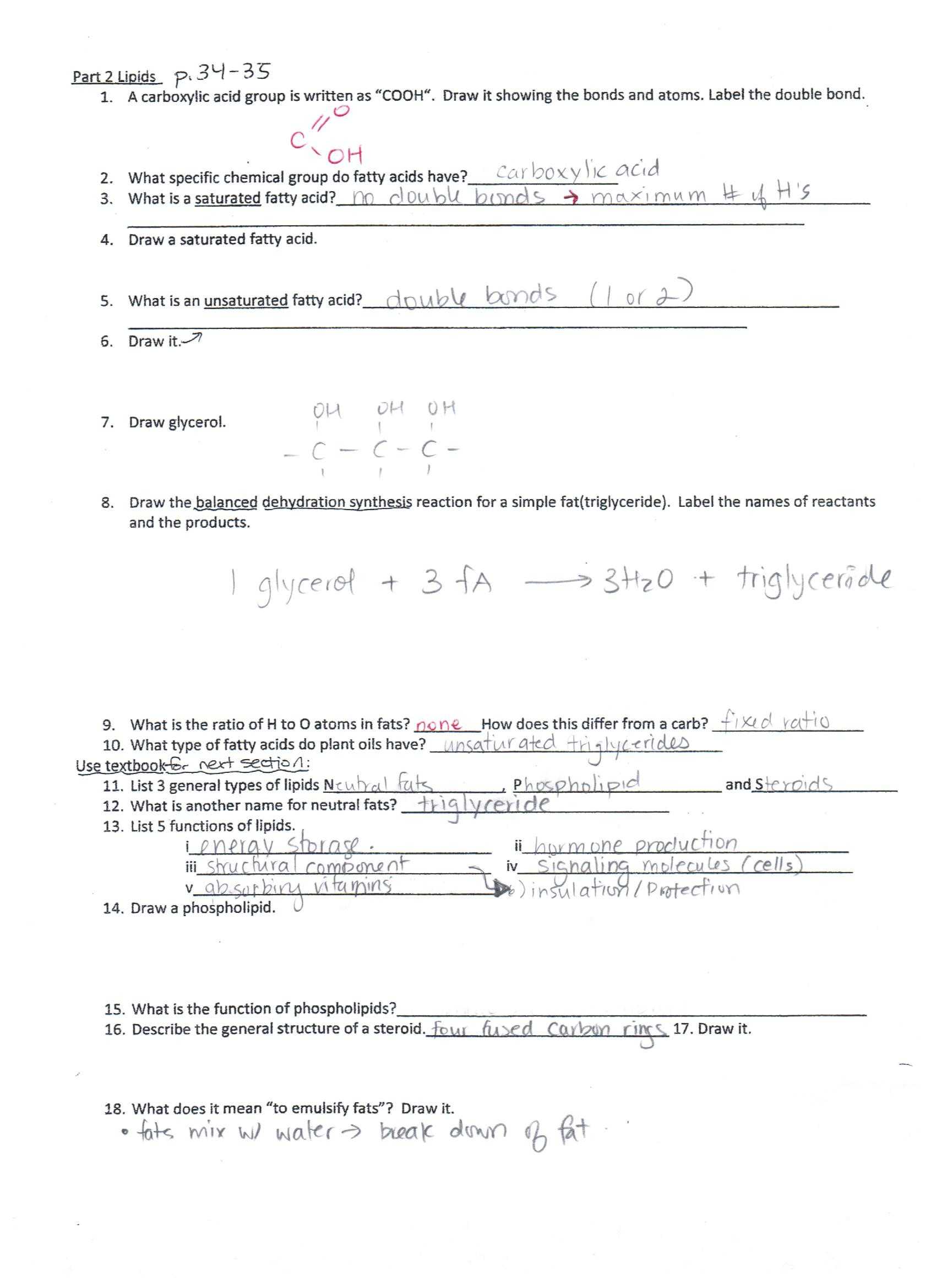 Types Of Bonds Worksheet Answer Key with Macromolecule Worksheet 2 Answer Key Elegant Mutations Worksheet