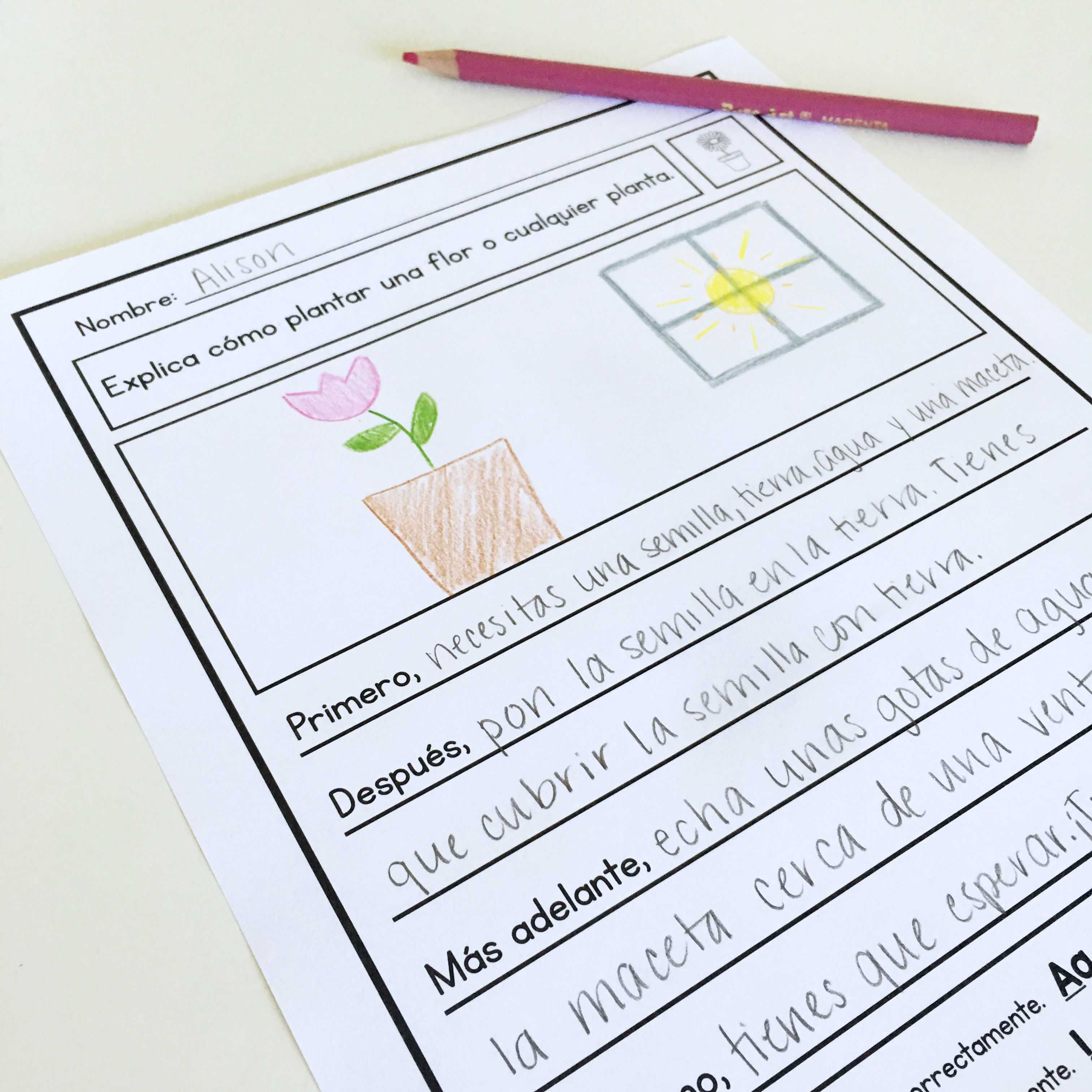 Unscramble Sentences Worksheets 1st Grade together with Spanish Writing Prompts for 1st Informational Narrative