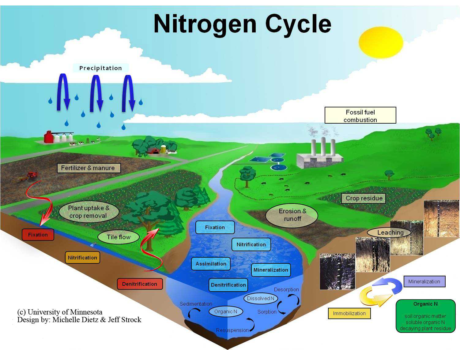 Water Carbon and Nitrogen Cycle Worksheet Along with Schmidtphysicalgeography Week Thirteen
