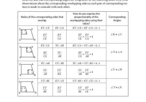 1.5 Angle Pair Relationships Practice Worksheet Answers and Grade 9 Mathematics Module 6 Similarity