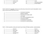 10th Grade Biology Worksheets with Answers Also 1216 Best Biology Images On Pinterest