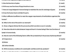10th Grade Biology Worksheets with Answers and X Biology Worksheet Kidz Activities