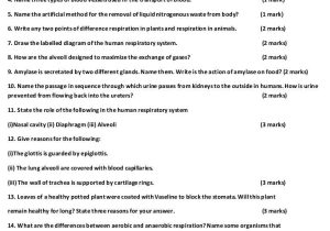 10th Grade Biology Worksheets with Answers as Well as X Biology Worksheet Kidz Activities