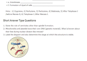 10th Grade Biology Worksheets with Answers with Important Questions for Class 11 Biology Chapter 10 Cell Cycle and