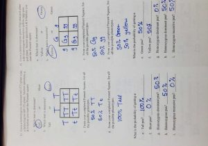 13.1 Rna Worksheet Answers with Punnett Square Worksheet Human Characteristics Answers Image