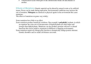 13.3 Mutations Worksheet Answer Key as Well as Mutations Worksheet Key Gallery Worksheet Math for Kids