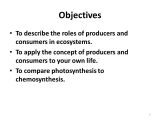 3.2 Energy Producers and Consumers Worksheet Answer Key with Energy In Ecosystems Chapter 13 Unit Objectives to Describe the