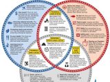3 Branches Of Government Worksheet together with 231 Best Teacher Civics tools Images On Pinterest