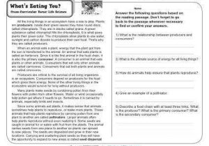 4th Grade Comprehension Worksheets and High School Reading Prehension Worksheets with Answer Key Awesome
