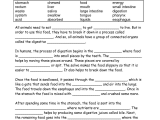 5th Grade social Studies Worksheets Pdf or Food Digestion Worksheets Digestive System Worksheets