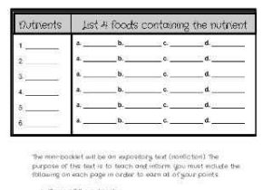6th Grade Economics Worksheets and the Six Essential Nutrients Lesson Plan and Worksheet