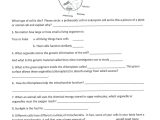 6th Grade Inequalities Worksheet and forms Energy Worksheets for 6th Grade Lovely 28 Best Energy