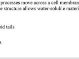 7.2 Cell Structure Worksheet Answer Key Along with the Human Respiratory System Includes the Nose the Larynx and the