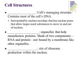 7.2 Cell Structure Worksheet Answer Key Also Chapter 7 Cellular Structure & Function Ppt Video Online