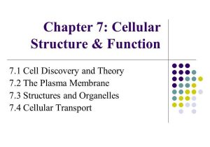 7.2 Cell Structure Worksheet Answer Key and Chapter 7 Cellular Structure & Function Ppt Video Online