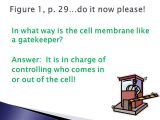 7.2 Cell Structure Worksheet Answer Key as Well as Chapter 1 Lesson 4 the Cell In Its Environment – Pg Ppt