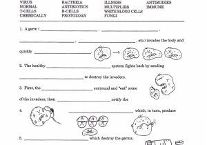 7 Habits Of Highly Effective Teens Worksheets and High School Health Worksheet Fresh Immune System Worksheet Middle