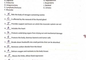 9 5 Digestion In the Small Intestine Worksheet Answers as Well as Ziemlich Study Guide for Human Anatomy and Physiology Answers