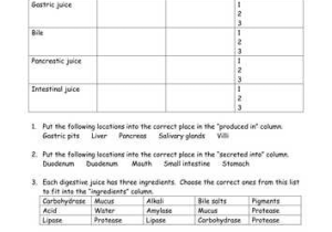 9 5 Digestion In the Small Intestine Worksheet Answers together with Worksheet Answers for Biology Kidz Activities