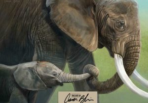 A Tale Of Two Elephants Worksheet Along with Friday Finds Art Of Aaron Blaise
