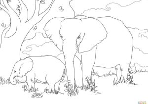 A Tale Of Two Elephants Worksheet Also African Bush Elephants for Coloring Page Animal Free Dow