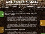 Accompanies soil Conservation Student Worksheet together with 16 Best soil Keeping It Healthy & soil Tidbits Images On Pinterest