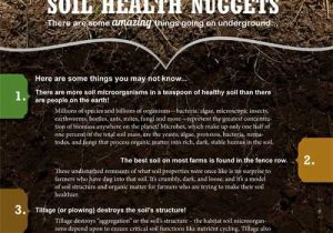 Accompanies soil Conservation Student Worksheet together with 16 Best soil Keeping It Healthy & soil Tidbits Images On Pinterest
