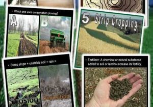 Accompanies soil Conservation Student Worksheet with Best Great Teaching Resources From Tpt Images On Pinterest