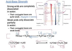 Acids Bases and Salts Worksheet Also Honors Chem 54 Acid Base Equilibriaautoionization Conjuga