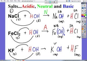 Acids Bases and Salts Worksheet and Free Worksheets Ampquot Reading Worksheets for Kids Free Math Wo