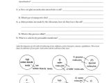 Active and Passive Transport Worksheet as Well as Lovely Cell Transport Worksheet Awesome Plasma Membrane Worksheet