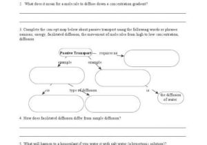 Active and Passive Transport Worksheet together with Active Transport Worksheet Answers Lovely Active and Passive