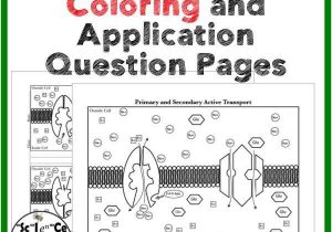 Active Transport Worksheet and Cell Transport Facilitated Diffusion Coloring Page and Application