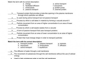 Active Transport Worksheet Answers Also Transport In Cells Worksheet Answers Fresh Cell Transport Passive