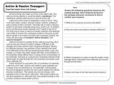 Active Transport Worksheet Answers as Well as 16 Best Cell Transport Worksheet Answers