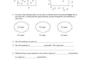 Active Transport Worksheet Answers as Well as Worksheets 48 Awesome Diffusion and Osmosis Worksheet Answers Full