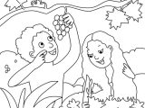 Adam and Eve Worksheets Along with Adam and Eve