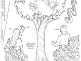Adam and Eve Worksheets as Well as 36 Best Ot Adam En Eva Adam and Eve Images On Pinterest
