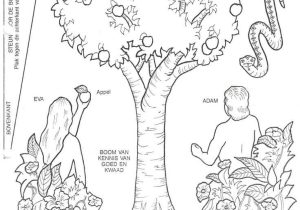 Adam and Eve Worksheets as Well as 36 Best Ot Adam En Eva Adam and Eve Images On Pinterest