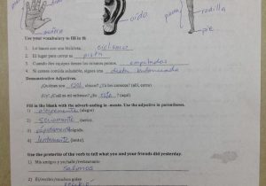 Adjectives Worksheet 3 Spanish Answers Also San Marino High School