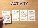 Advanced Physics Unit 6 Worksheet 3 forces together with Food Chain Activity Free Hands On Science Activity for 4th and 5th