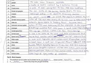 Afterlife the Strange Science Of Decay Worksheet Answer Key together with Introduction to Biotechnology Worksheet Answers Luxury Mutations