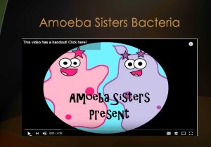 Amoeba Sisters Video Recap Biomolecules Worksheet Answers as Well as Amoeba Sisters Handouts Science with the Amoeba Sisters Dinocrofo