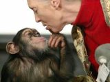 Among the Wild Chimpanzees Worksheet Answers Along with 87 Best Jane Goodall I Admire Her Images On Pinterest