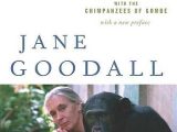 Among the Wild Chimpanzees Worksheet Answers as Well as 34 Best Jane Goodall Images On Pinterest