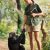 Among the Wild Chimpanzees Worksheet Answers or 43 Best Pics Images On Pinterest