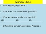 Anaerobic Pathways for atp Production Worksheet Also What is the Class Policy Regarding Food Drinks Electronic D