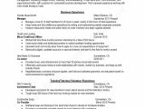 Analyzing Literature Worksheet with Resume Tutor Unique Painter Resume 0d