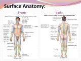 Anatomy and Physiology Worksheets with Basic Medical Terminology 1 Ppt
